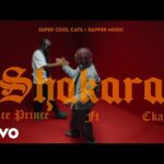 Ice-Prince-–-Shakara-ft.-CKay-Official-Video