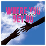 Busiswa-Where-You-Dey-Go-ft.-Naira-Marley