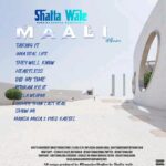 Shatta-Wale-Maali-Full-Album-Hitzmakers.com_