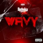 Opanka-Wavy-Hitzmakers.com_