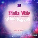 Shatta-Wale-What-Deh-Sup-Hitzmakers.com_