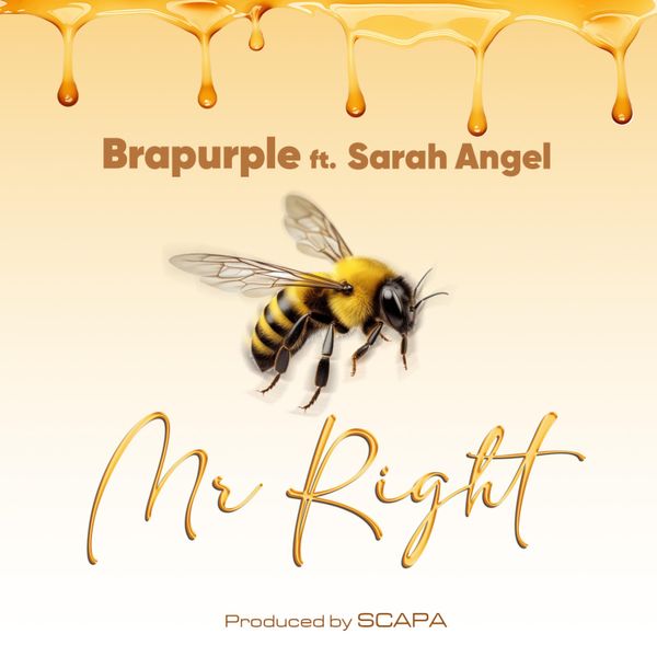 Brapurple - Mr Right Ft. Sarah Angel (Prod by Scapa)