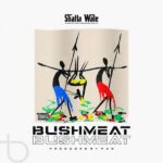 Shatta Wale – Bushmeat (Prod by Paq)