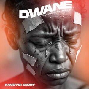 Kweysi Swat - Dwane (Prod by Fredoo)