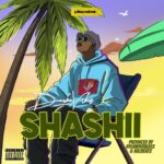 DarkoVibes - Shashii (Prod by Hylanderbeatz & Killbeatz)