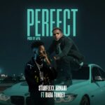 Starflexx Armani - Perfect Ft. Baba Tundey (Prod by Apya)
