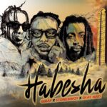 Stonebwoy - Habesha Ft. Skat Nati & Giday (Prod by J031 Pon Da Beat)