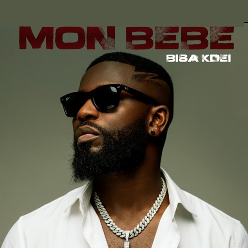 Bisa Kdei - Mon Bebe