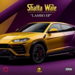 Shatta Wale – Are You Sure (Prod by Paq)