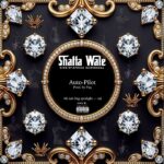 Shatta Wale - Auto-Pilot (Prod by Paq)