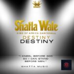 Shatta Wale - Destiny (Prod by Shatta Wale)