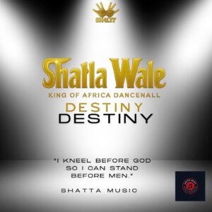 Shatta Wale - Destiny (Prod by Shatta Wale)