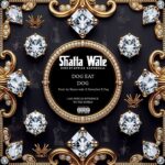 Shatta Wale - Dog Eat Dog (Prod by Shatta Wale x Nawtyboi x Paq)