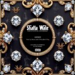 Shatta Wale - Genzi (Prod by Shatta Wale x Nawtyboi x Paq)