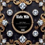 Shatta Wale - Spirit Bigger (Prod by Shatta Wale x Nawtyboi x Paq)