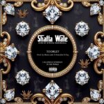 Shatta Wale - Toorlet (Prod by Shatta Wale x Nawtyboi x Paq)