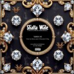 Shatta Wale - Yawa Ni (Prod by Shatta Wale x Nawtyboi x Paq)
