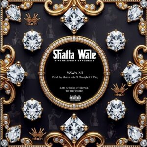 Shatta Wale - Yawa Ni (Prod by Shatta Wale x Nawtyboi x Paq)