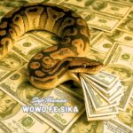 Safo Newman – Wowo Fe Sika