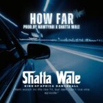 Shatta Wale - How Far (Shatta Music) (Prod by Shatta Wale x Nawtyboi x Paq)