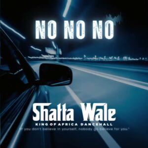 Shatta Wale - No No No