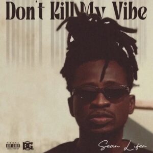 Sean Lifer – Don’t Kill My Vibe