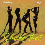 Patoranking – Shake That Ft. Ruger (Prod by Yung Willis & Dwillsharmony)
