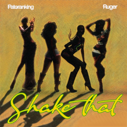 Patoranking – Shake That Ft. Ruger (Prod by Yung Willis & Dwillsharmony)