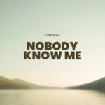 Cina Soul - Nobody Know Me (Prod by Master Maison)